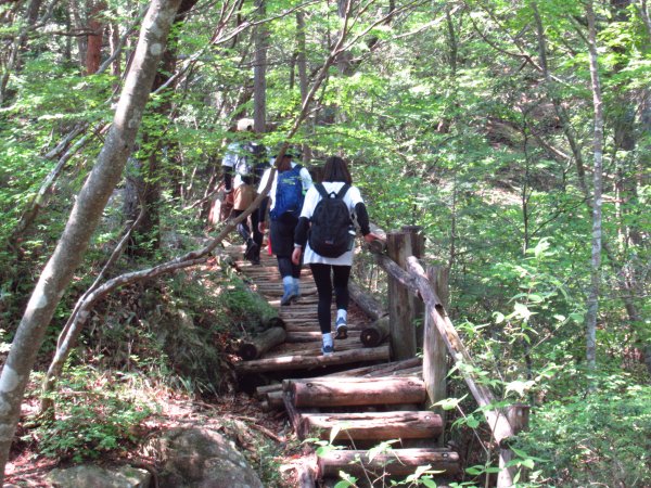 登山道